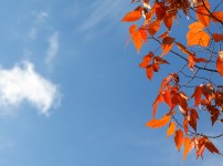 포토갤러리입니다